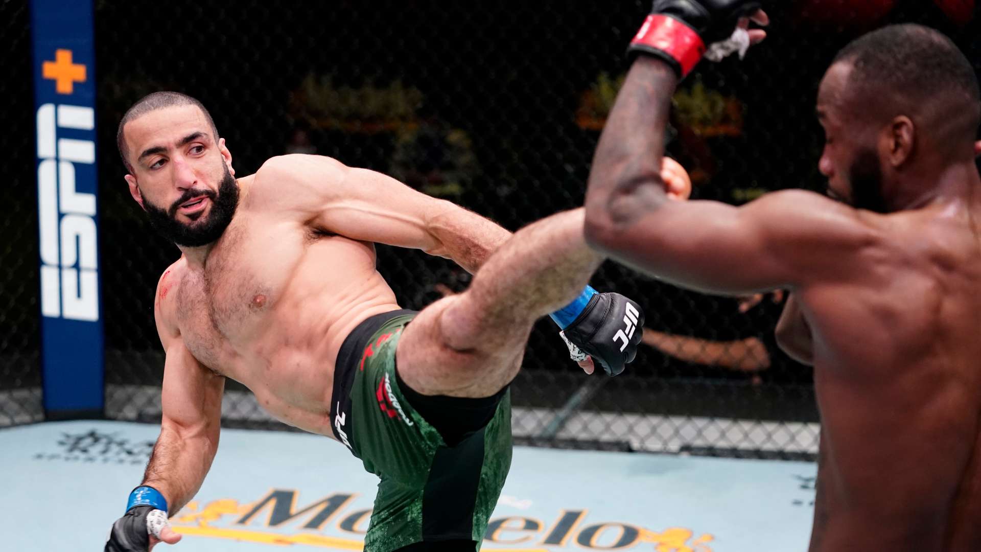 了技术实力 了技术实力